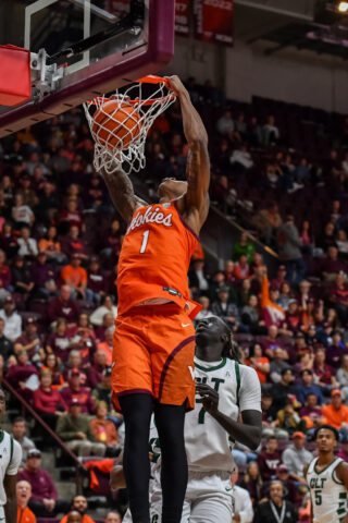 dll2511160018_char _at_vt