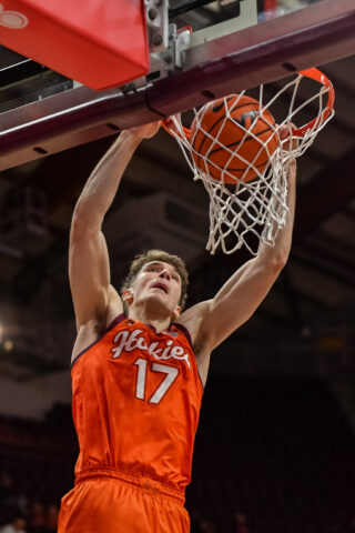 dll2511160033_char _at_vt